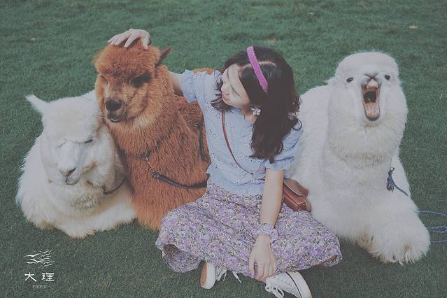 长沙自驾去大理多少钱,生活需要惊喜自驾直奔大理