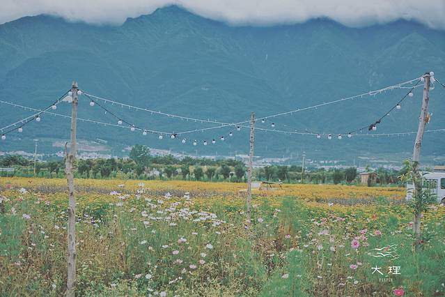 长沙自驾去大理多少钱,生活需要惊喜自驾直奔大理