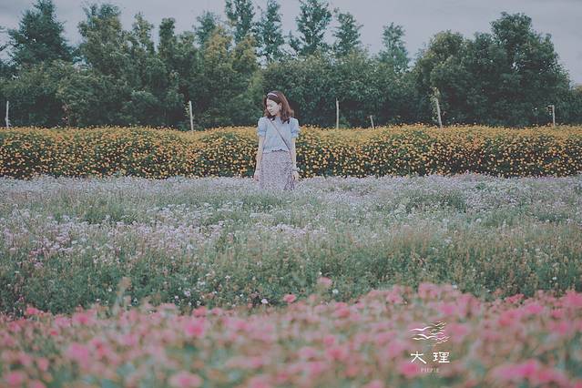 长沙自驾去大理多少钱,生活需要惊喜自驾直奔大理