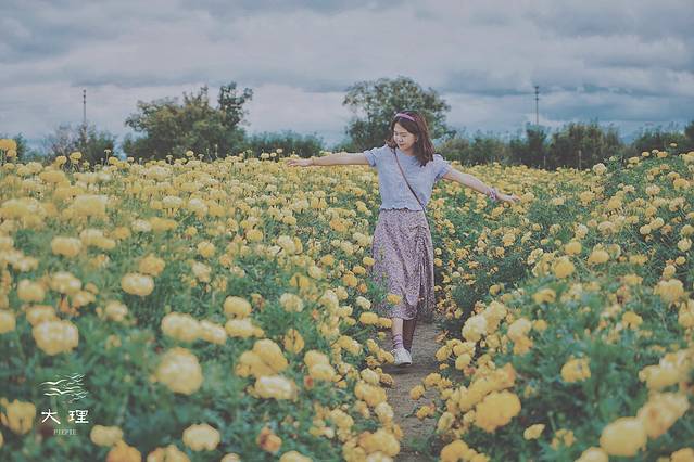 长沙自驾去大理多少钱,生活需要惊喜自驾直奔大理