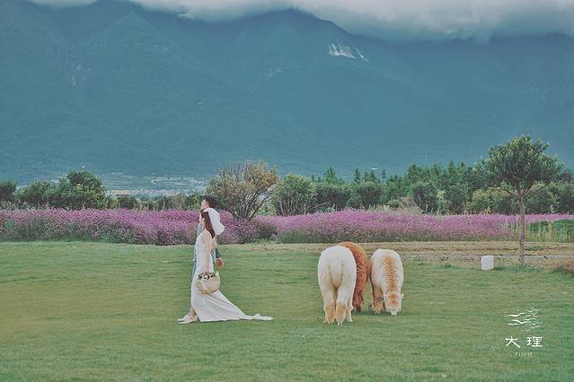长沙自驾去大理多少钱,生活需要惊喜自驾直奔大理
