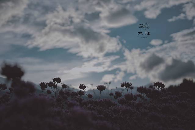 长沙自驾去大理多少钱,生活需要惊喜自驾直奔大理