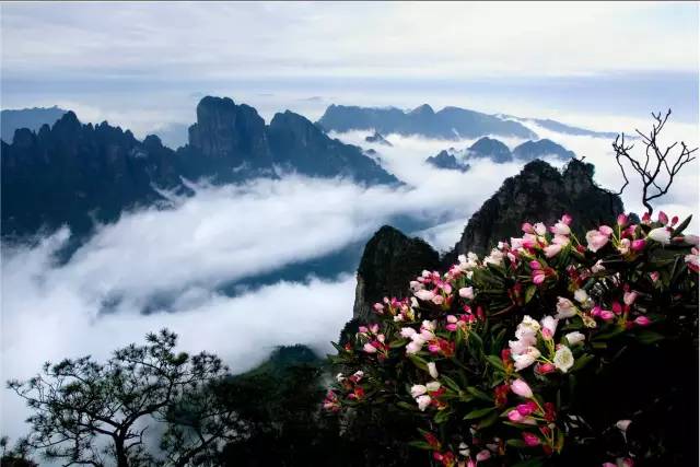 一年一度千年瑶寨盘王节,盘王节欢迎您