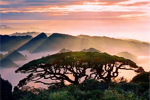 一年一度千年瑶寨盘王节,盘王节欢迎您