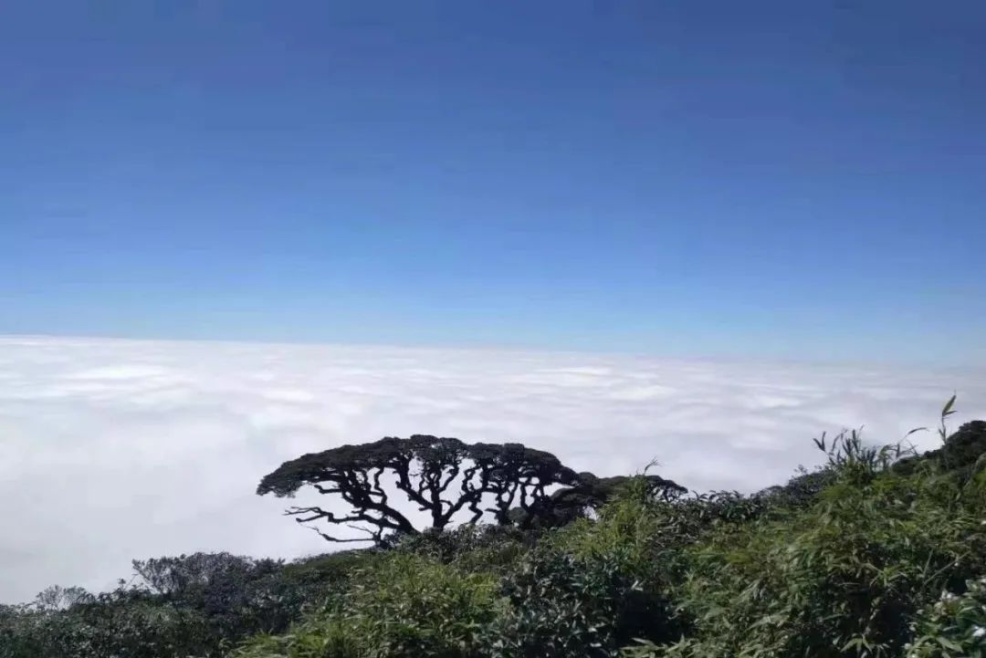 一年一度千年瑶寨盘王节,盘王节欢迎您