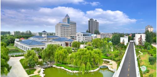 山东省三八红旗手,山东省三八红旗手刘振莲