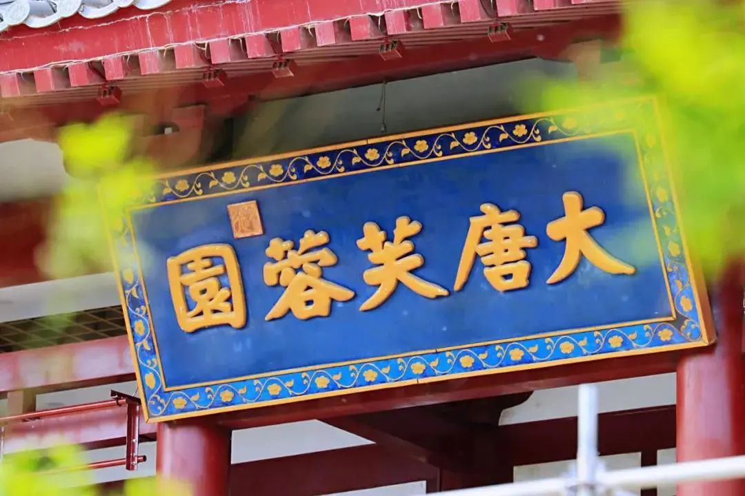 收官！这份《三官挑刺报告》，为您呈上~