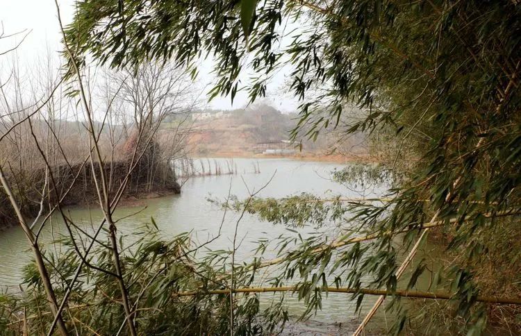 沉香原创旗袍,沉香旗袍馆私人订制