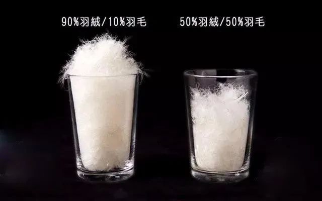 一件羽绒服，治好了我的“身材焦虑”