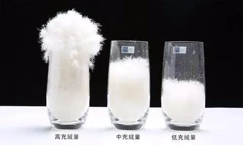 一件羽绒服，治好了我的“身材焦虑”