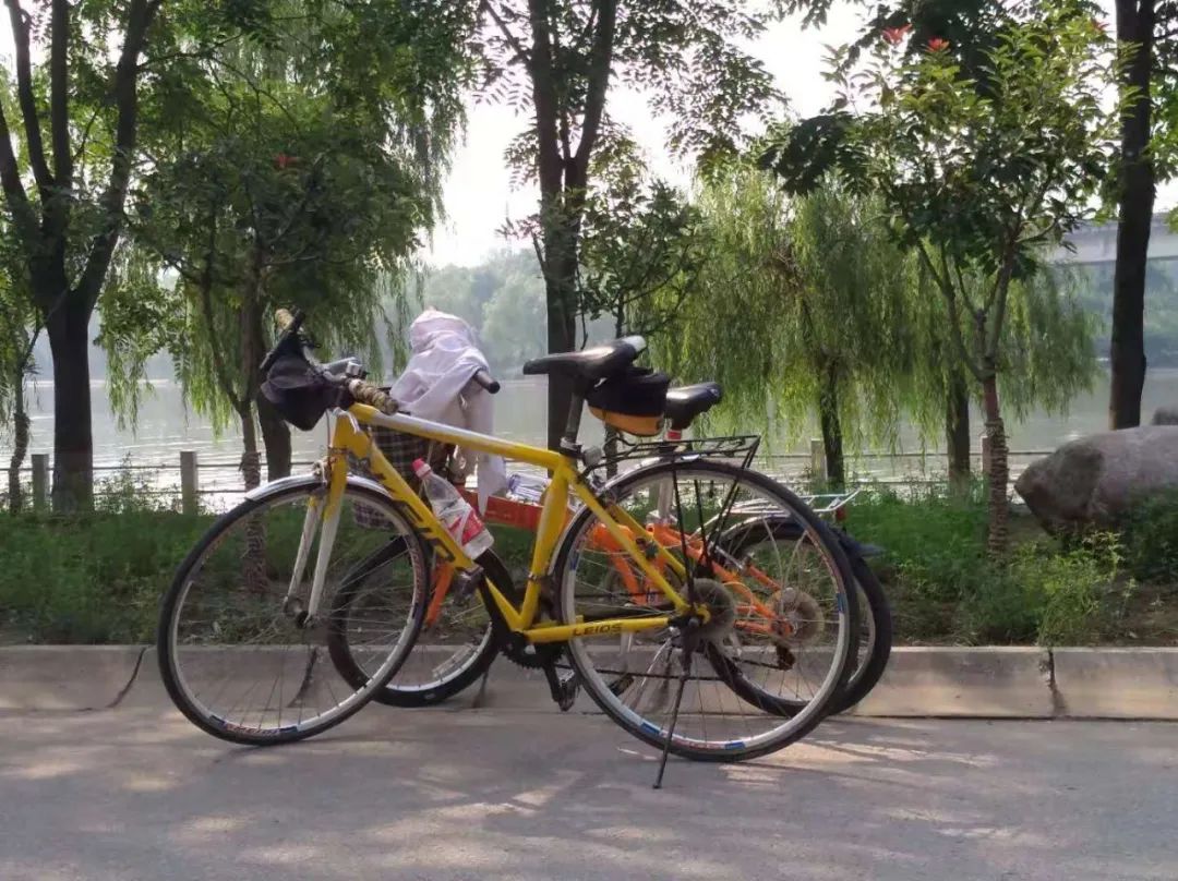 河南、河北车友都骑什么车？