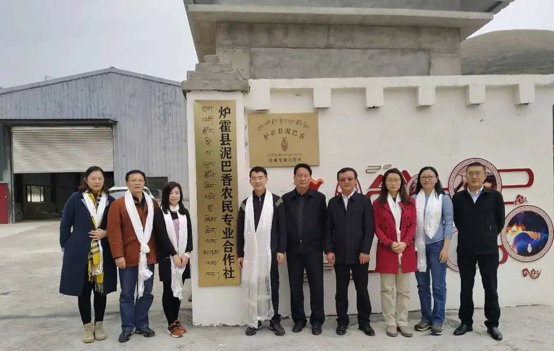 和丁真一样纯真,和丁真一样的主播