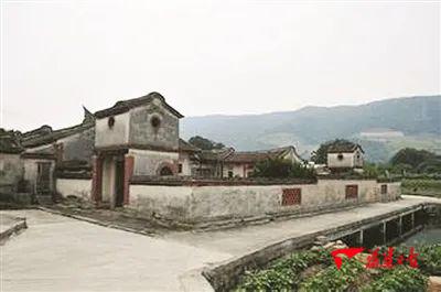 让妇联成为妇女全面发展主心骨,乡村产业振兴巾帼在行动