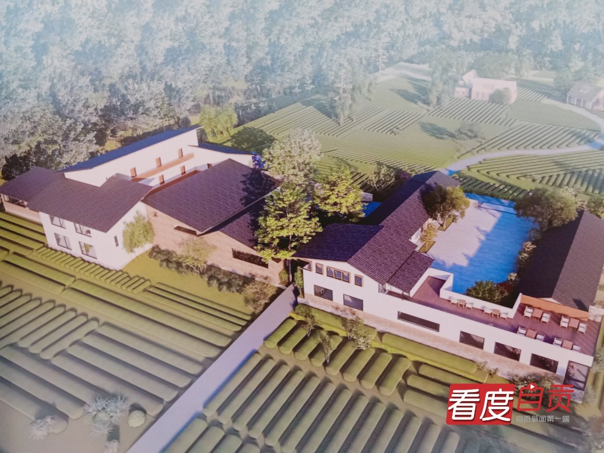 生态茶园致富路,千亩有机茶园草根创业