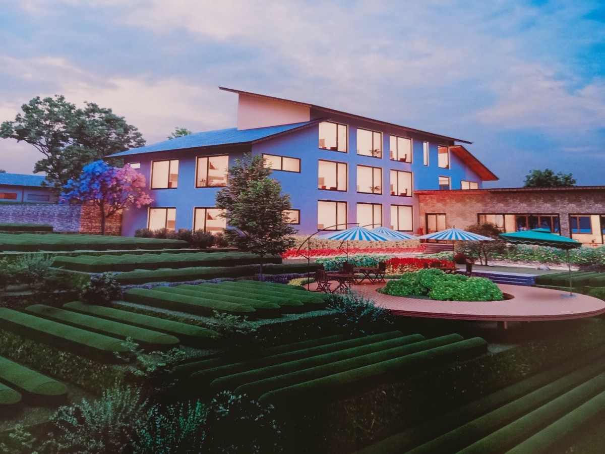 生态茶园致富路,千亩有机茶园草根创业