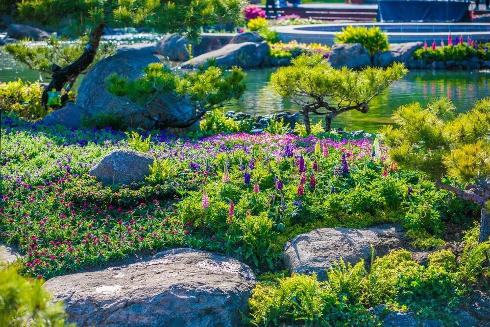 “一带一路”峰会北京雁栖湖夏园景观改造/源树景观规划设计事务所