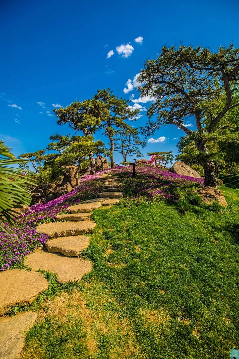 “一带一路”峰会北京雁栖湖夏园景观改造/源树景观规划设计事务所