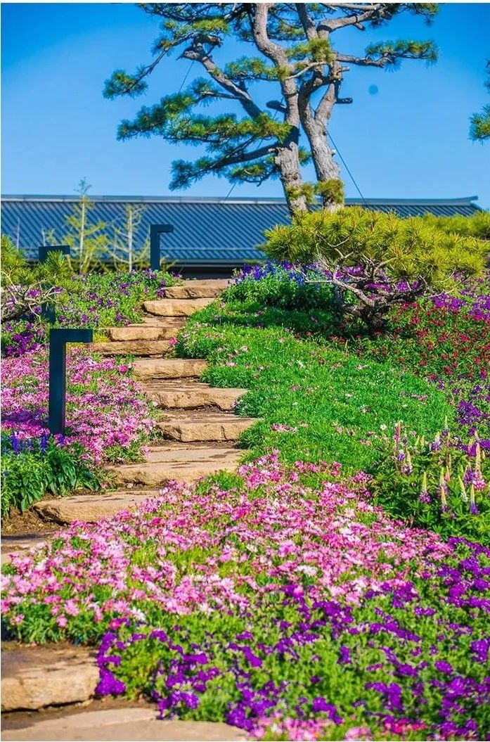 “一带一路”峰会北京雁栖湖夏园景观改造/源树景观规划设计事务所