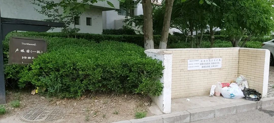 垃圾场变森林居民生活环境大翻新,垃圾场变身城市公园