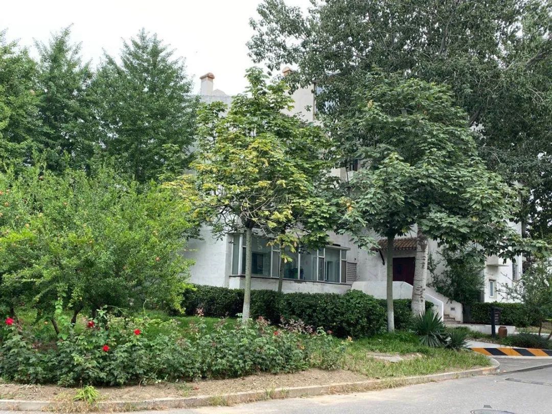 垃圾场变森林居民生活环境大翻新,垃圾场变身城市公园