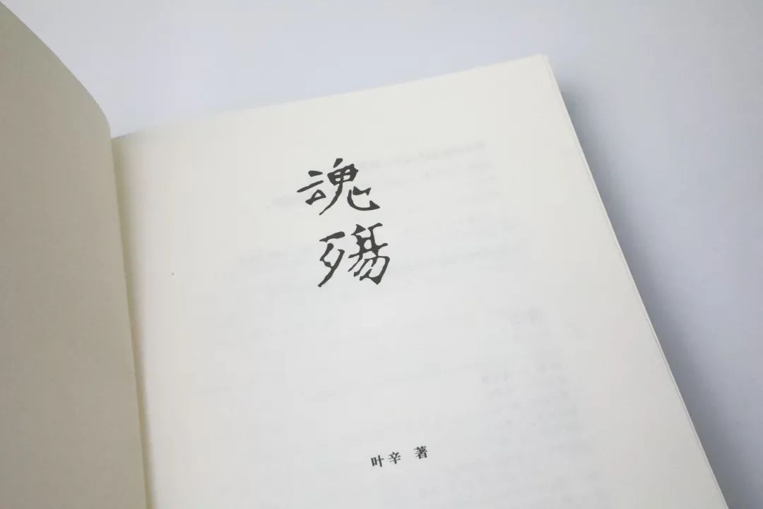 叶辛：为什么偏要去追问小说人物的原型