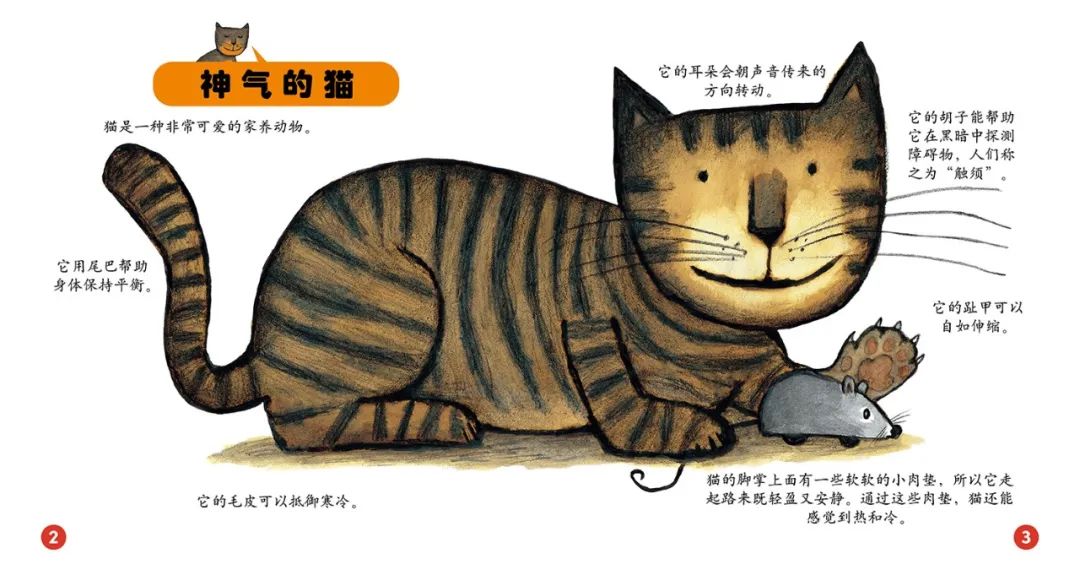 100个儿童绘本教具,儿童玩具48件套