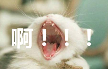 沈阳购房注意事项大全,沈阳买房记住一句话