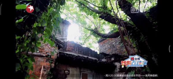 宝藏节目《梦想改造家》！设计师妙手使废墟变豪宅，还省80万？