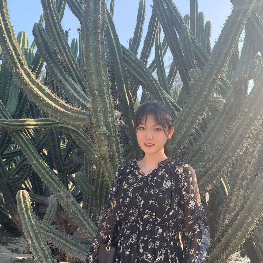 令人心动的offer冯琛,令人心动的offer张洽