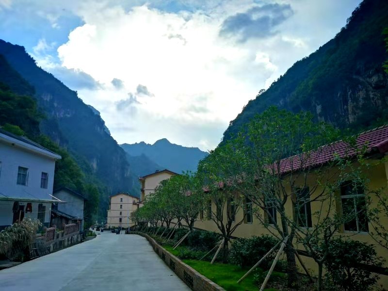 生态养鸭致富经历,生态水养殖致富案例