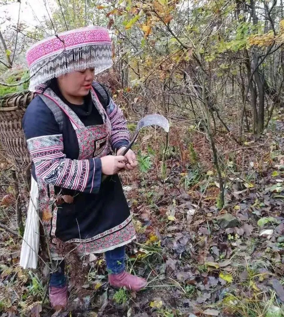 经常半夜醒来睡不着是这三处堵了,总是半夜一点多醒是啥病