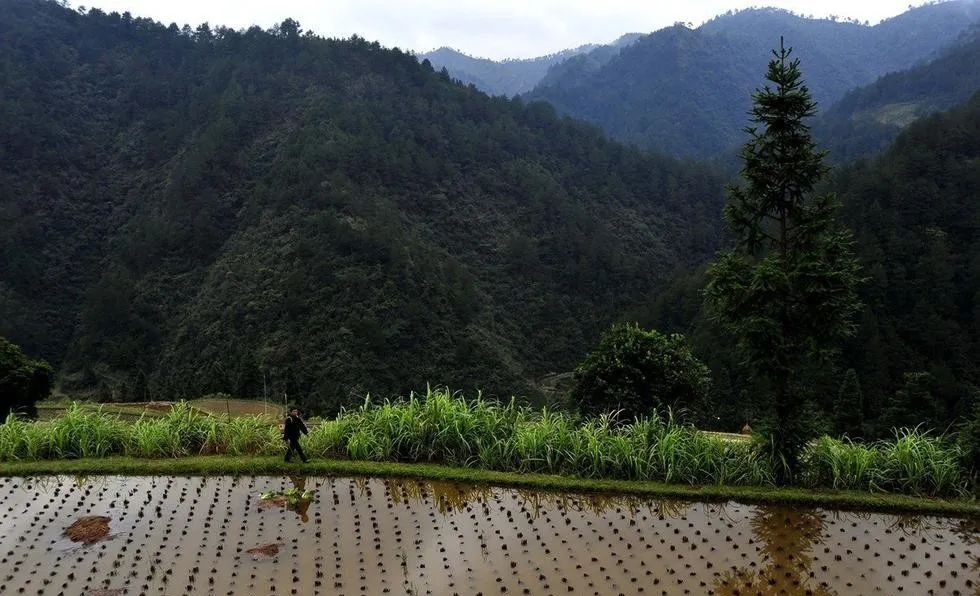 经常半夜醒来睡不着是这三处堵了,总是半夜一点多醒是啥病