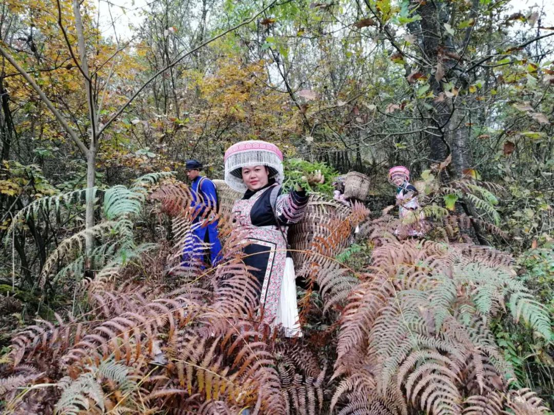 经常半夜醒来睡不着是这三处堵了,总是半夜一点多醒是啥病