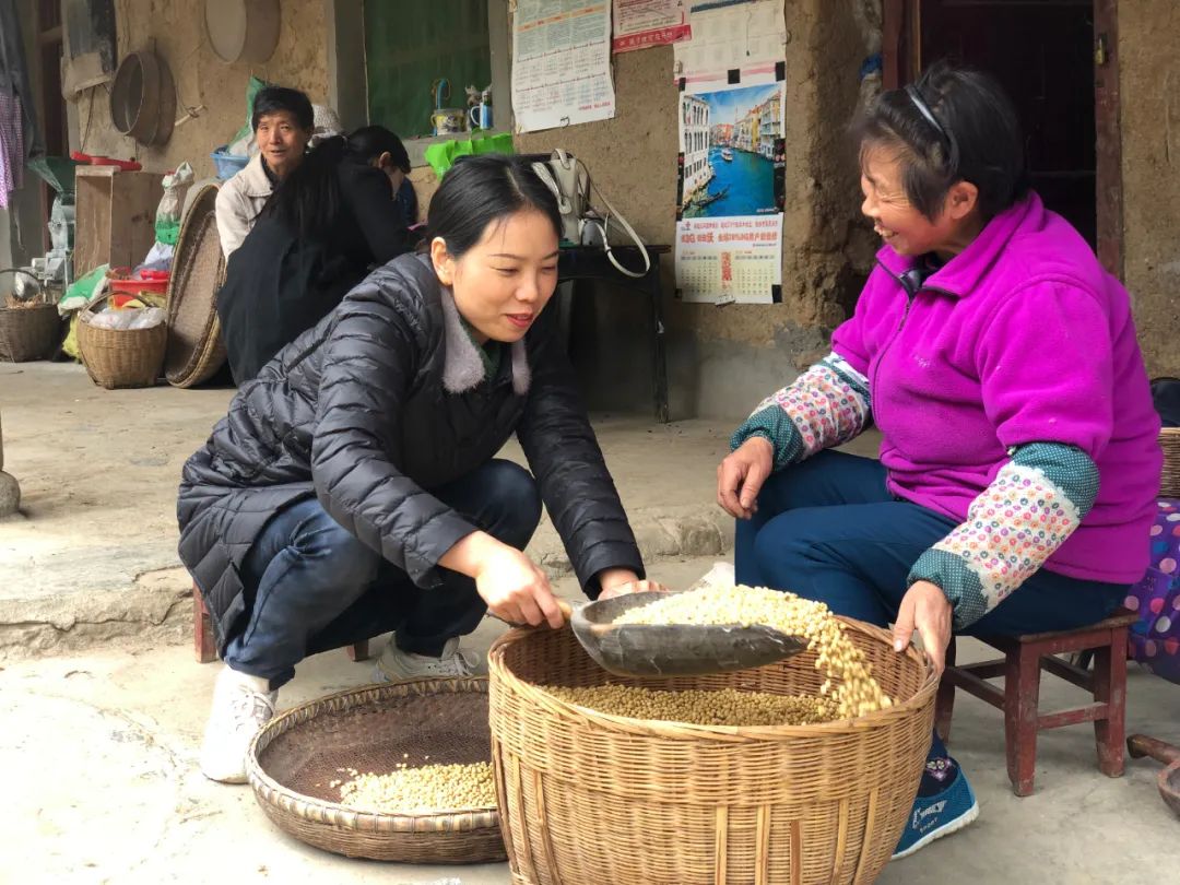 微风采郭卉的视频,河南省妇幼保健院李红