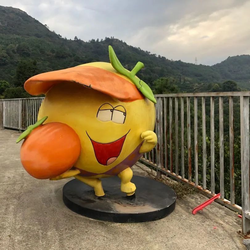 山好、水好、体验好！一颗被怒赞的胡柚背后故事不简单