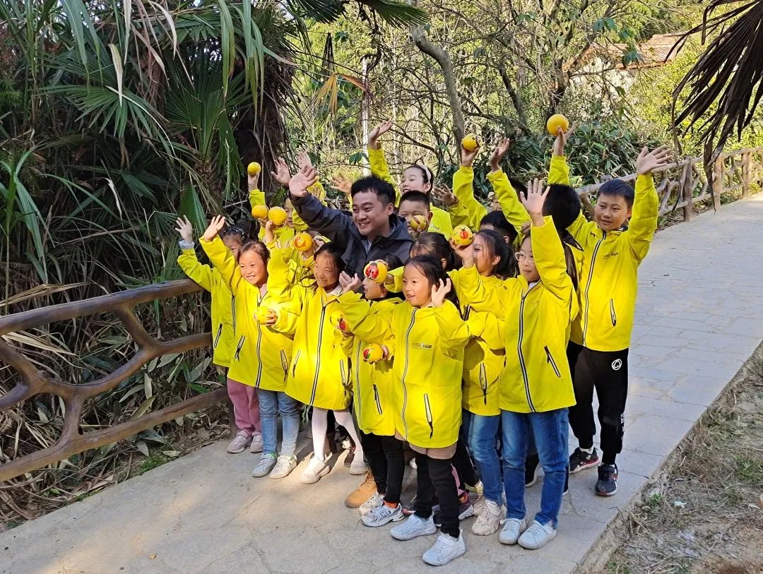 山好、水好、体验好！一颗被怒赞的胡柚背后故事不简单