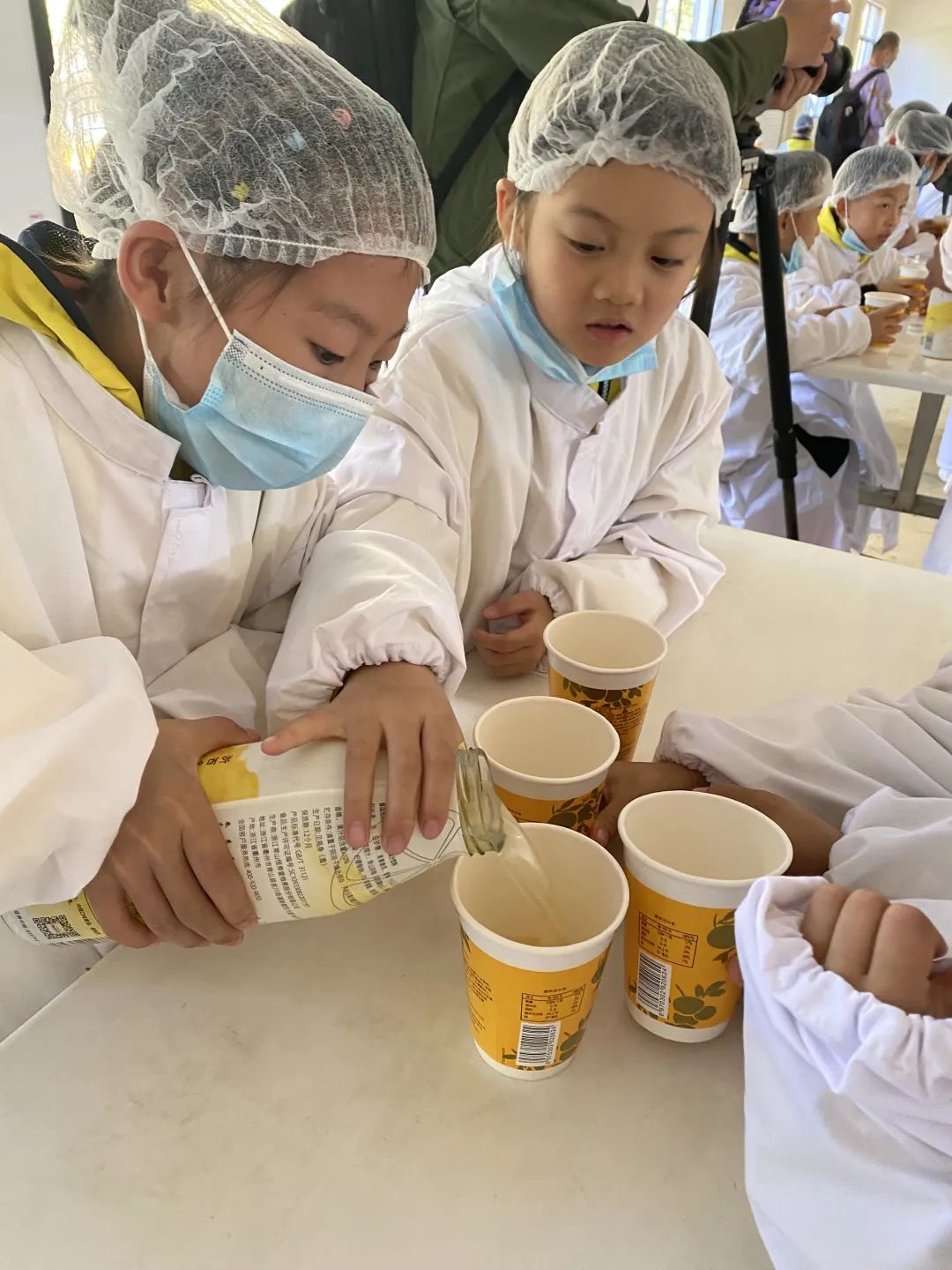 山好、水好、体验好！一颗被怒赞的胡柚背后故事不简单