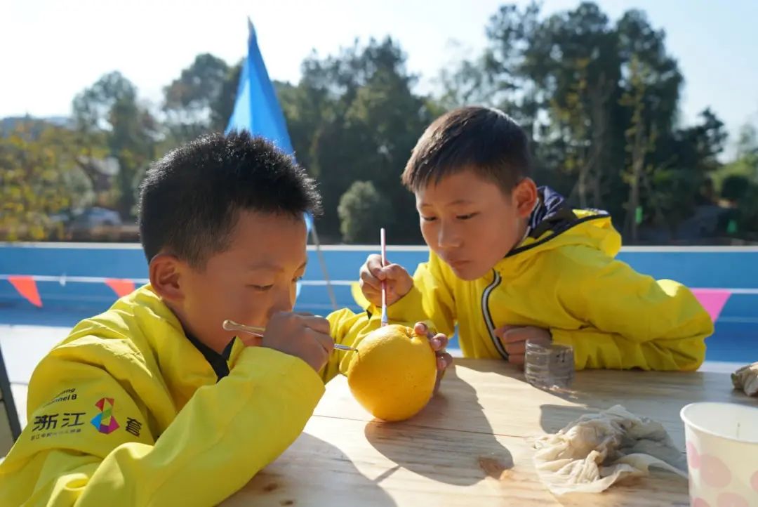 山好、水好、体验好！一颗被怒赞的胡柚背后故事不简单