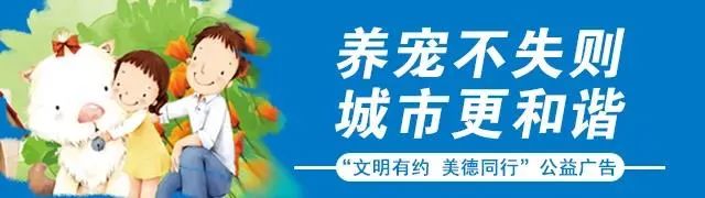 申领客运资格证的条件,申请客运资格证条件