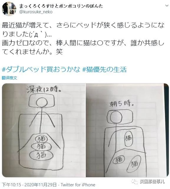 多猫家庭猫咪也会尿闭吗,多猫家庭为什么不能洗澡