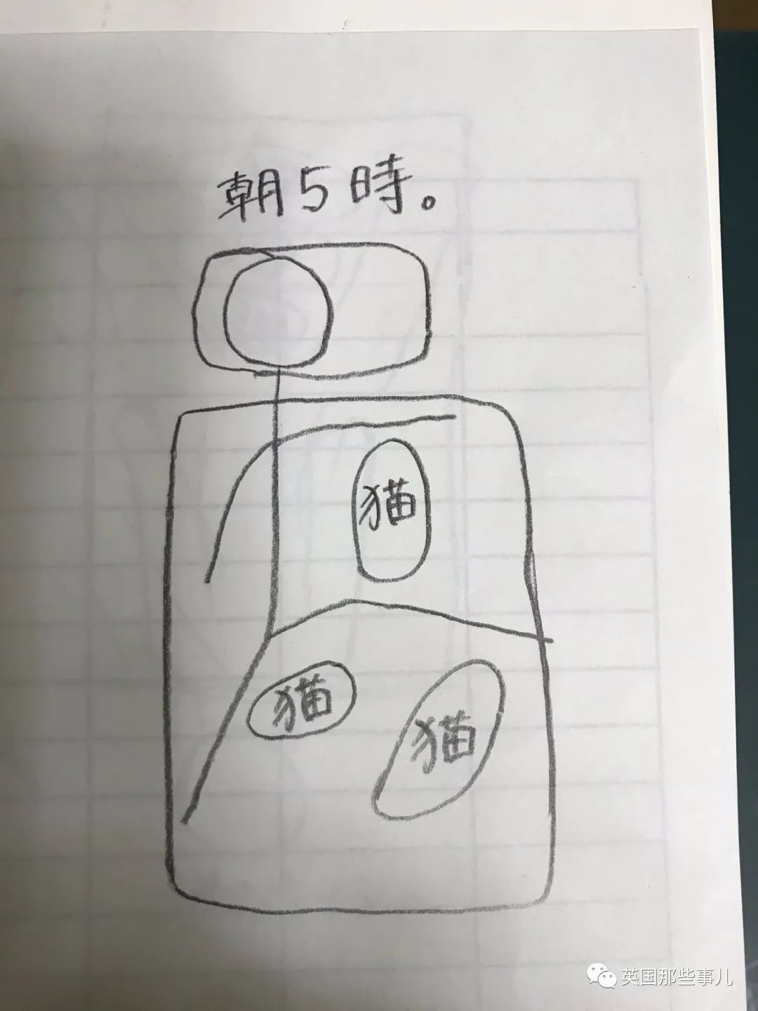 多猫家庭猫咪也会尿闭吗,多猫家庭为什么不能洗澡