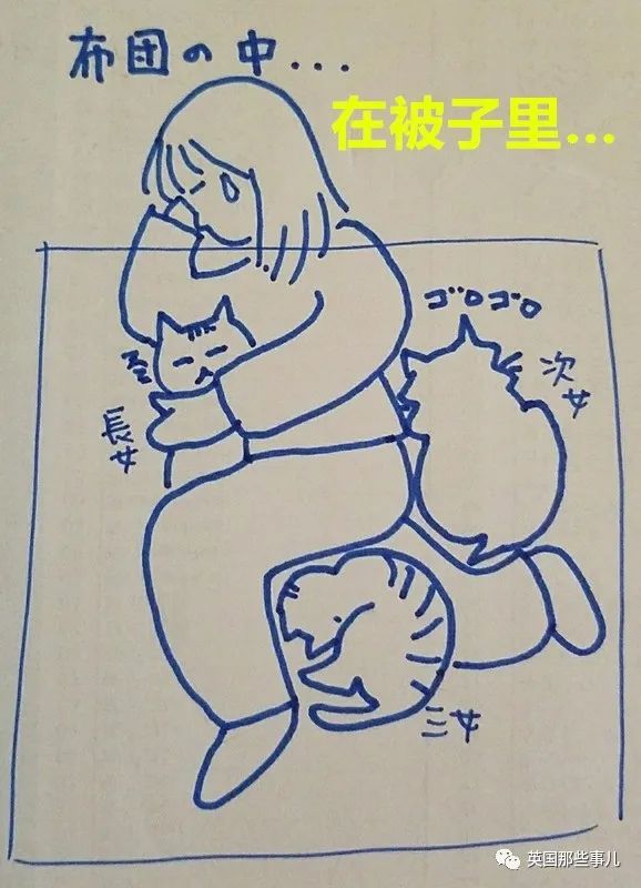 多猫家庭猫咪也会尿闭吗,多猫家庭为什么不能洗澡