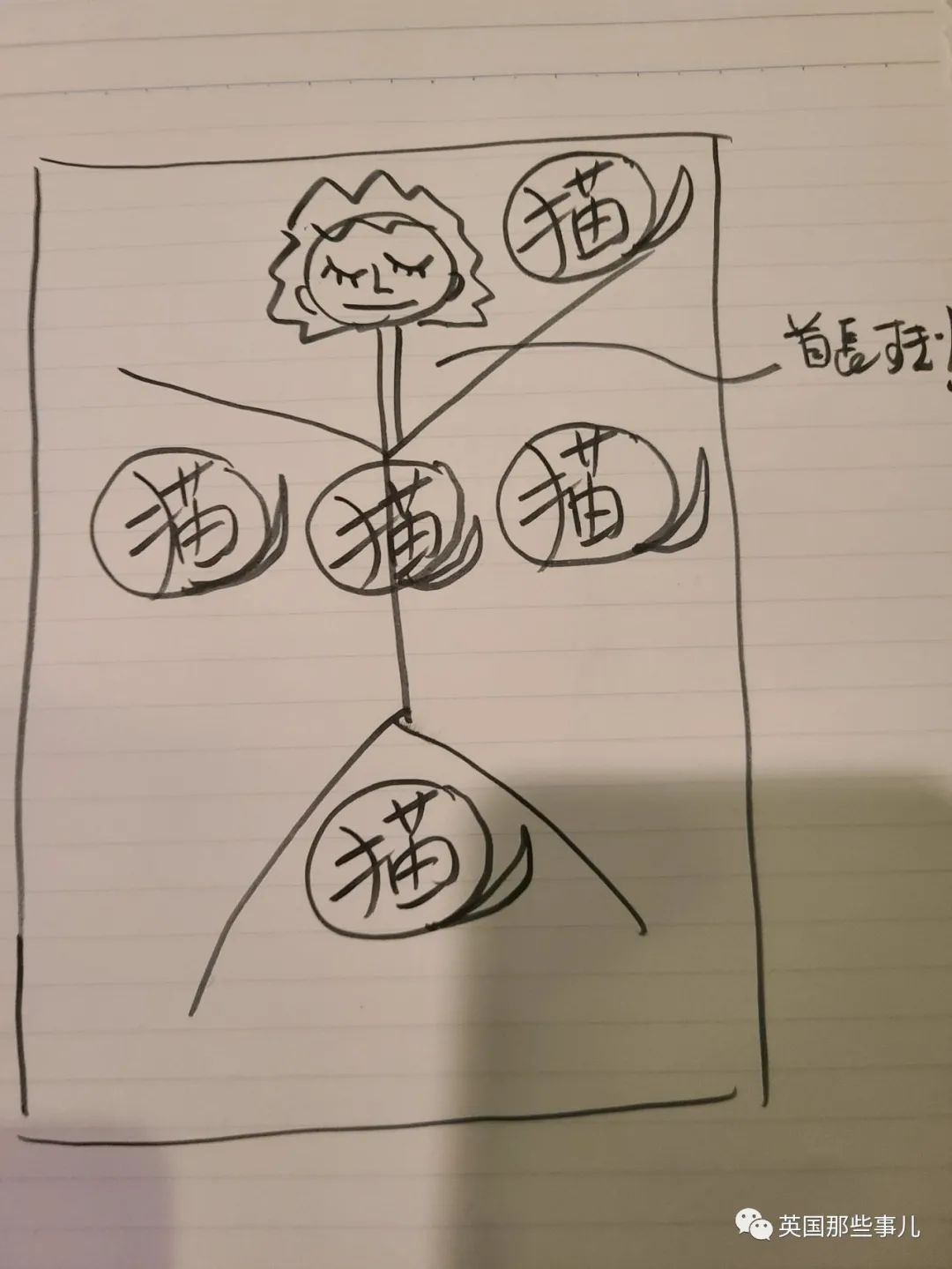 多猫家庭猫咪也会尿闭吗,多猫家庭为什么不能洗澡