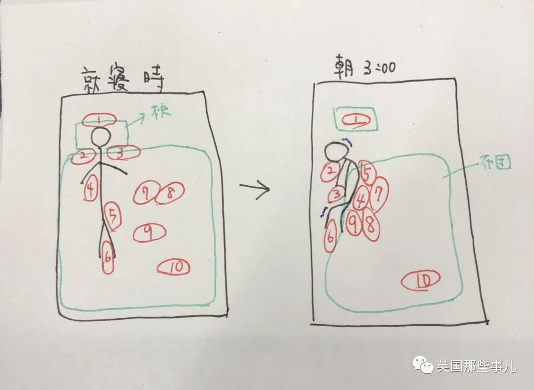 多猫家庭猫咪也会尿闭吗,多猫家庭为什么不能洗澡