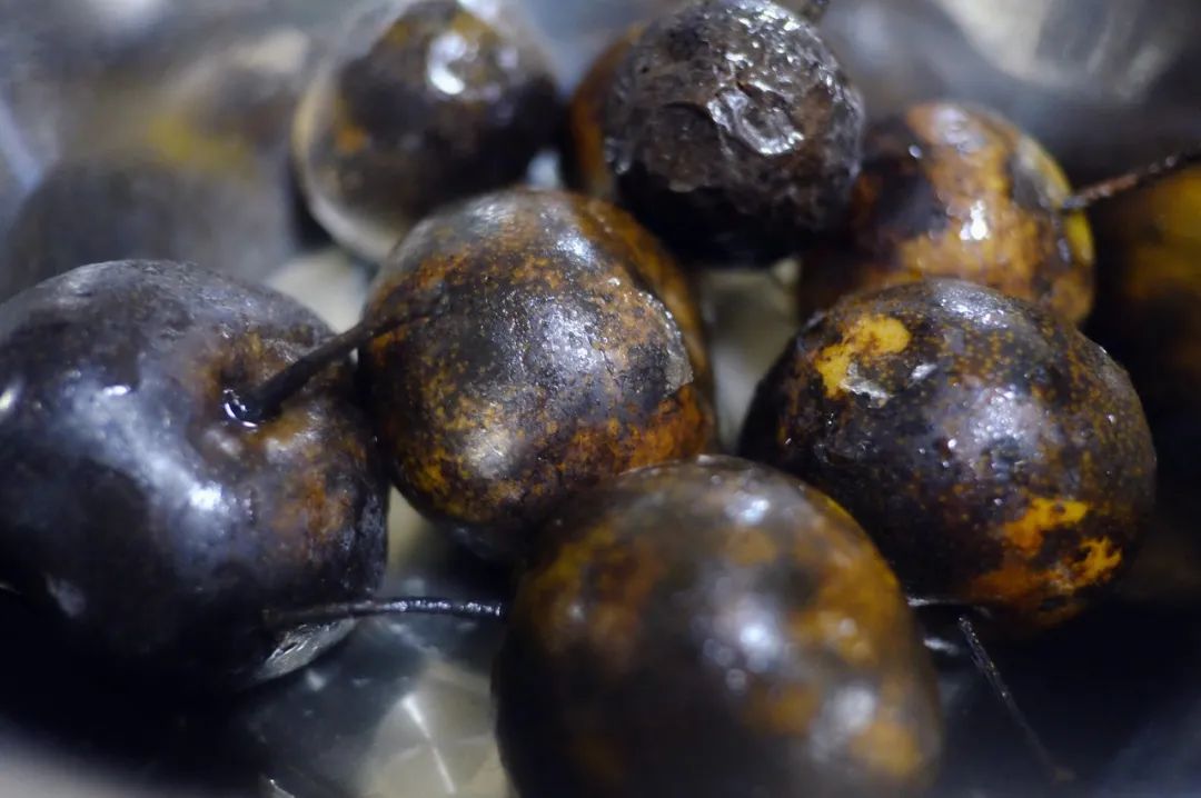 东北人有多火视频,东北人怎么火起来的