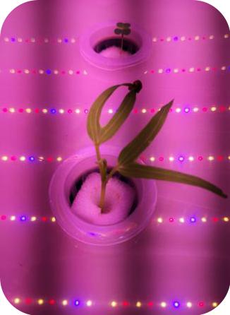 像嫦娥五号一样，去“月宫”挖土！这些学校的劳动课堂爱了爱了！