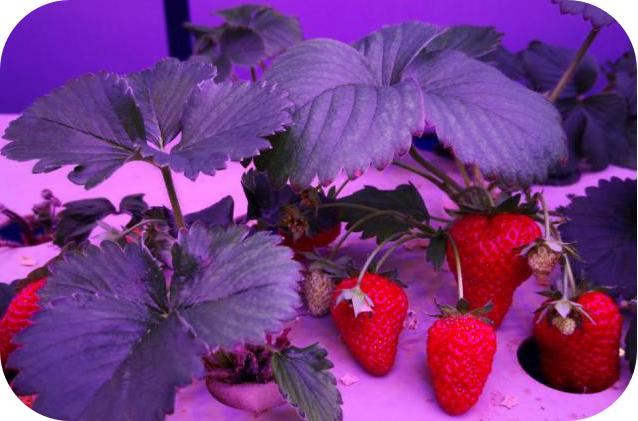 像嫦娥五号一样，去“月宫”挖土！这些学校的劳动课堂爱了爱了！