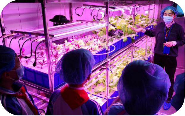 像嫦娥五号一样，去“月宫”挖土！这些学校的劳动课堂爱了爱了！