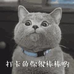 【卢氏丨陳家烤肉】69.9元吃门市价198元烤肉套餐，鲜牛肉+猪五花+羊肉串+烤鸭肠……属于肉食主义的狂欢来啦！