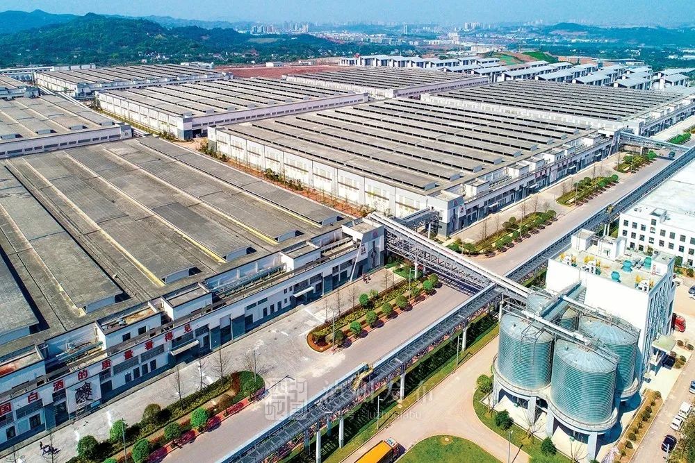 砥砺奋进的五年丨千亿近在咫尺!“变”与“不变”看泸酒